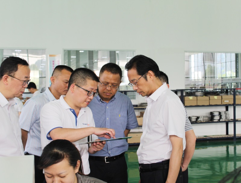 黃荊國、李文副市長一行來我公司視察指導(dǎo)工作